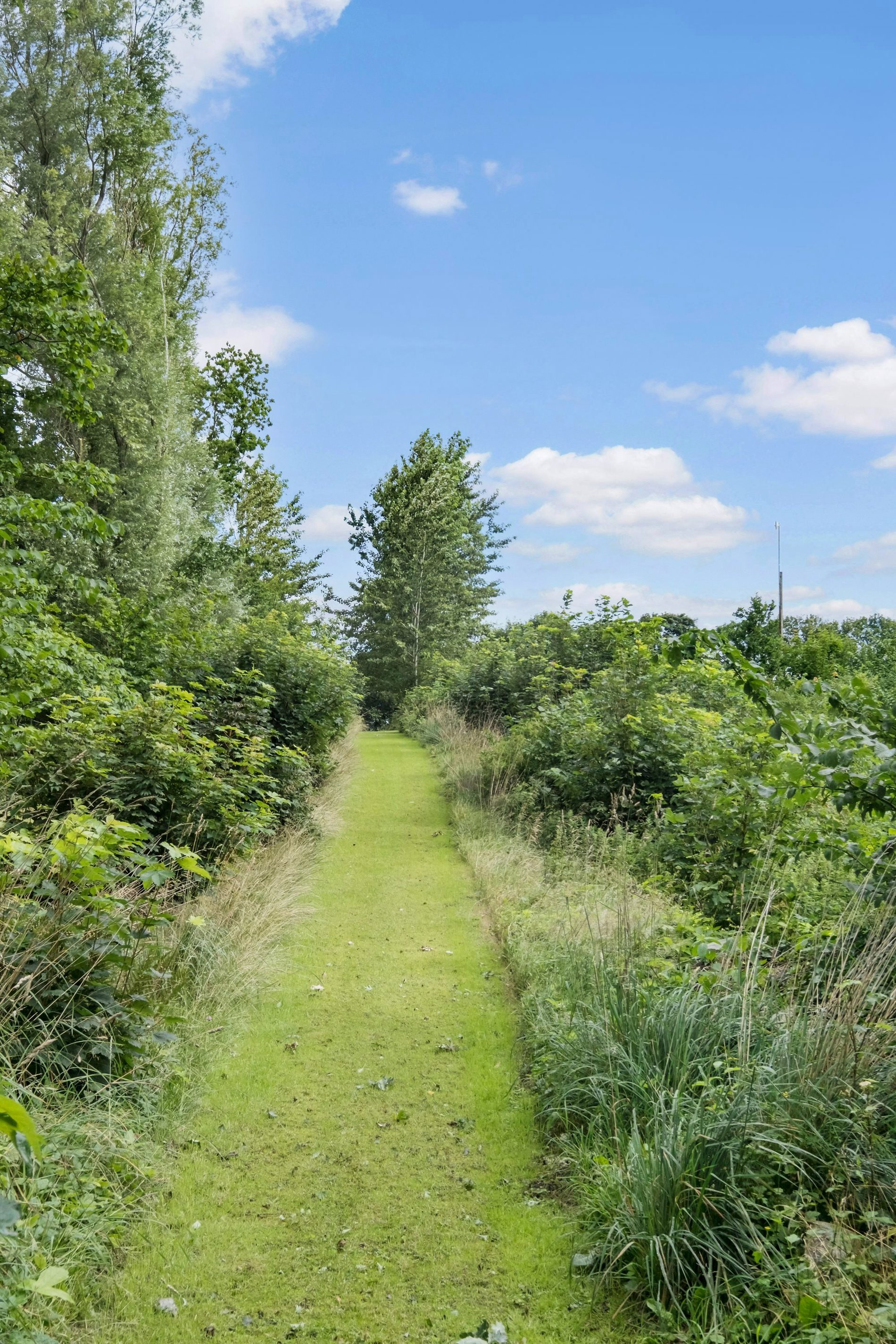 Ejendommen